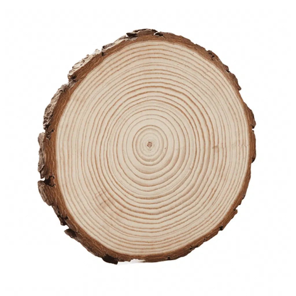 Wood Round Slice